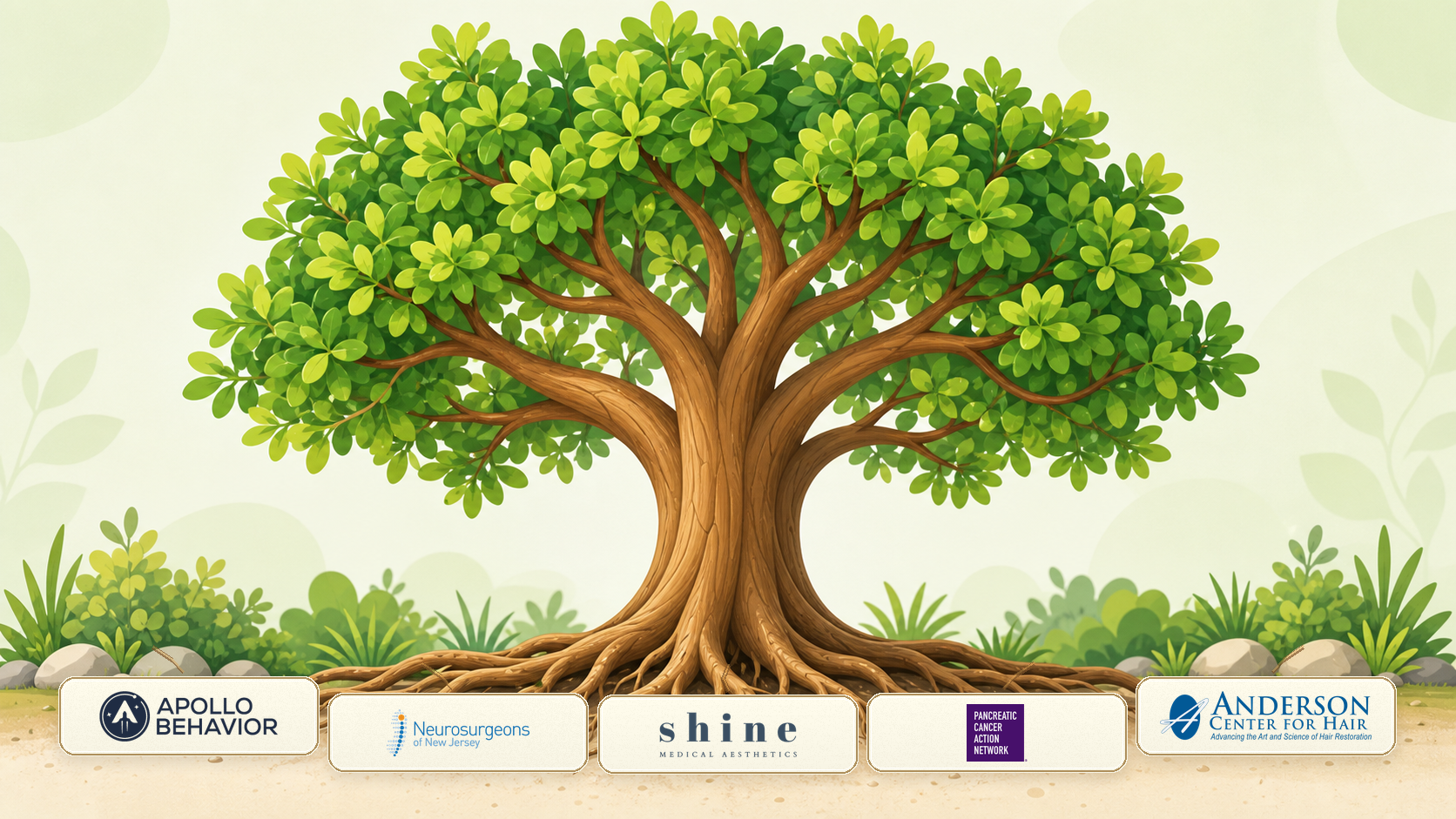 Healthcare growth tree showing JCT Growth healthcare client logos